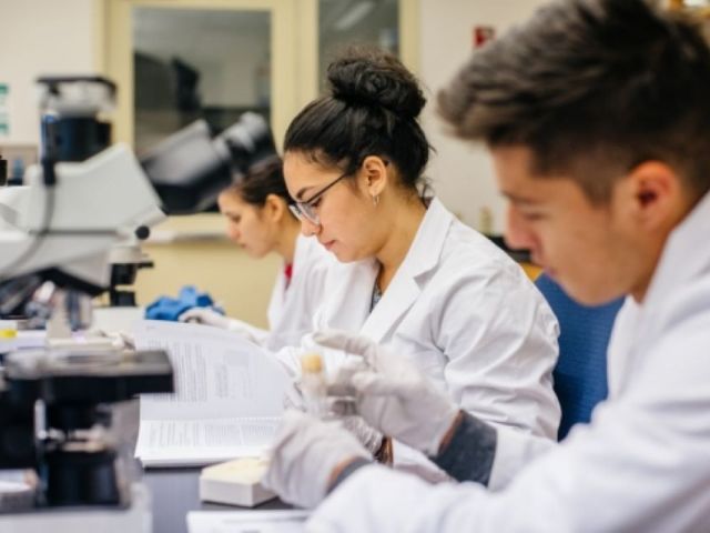 STEM Students Lab Photo by Elena Zhukova